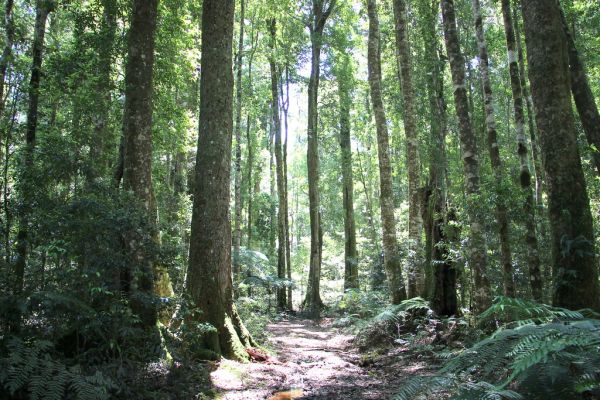 Mount Warren photo 4