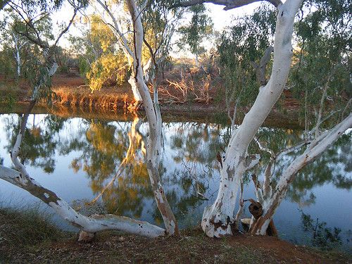 North Lyons River photo 2