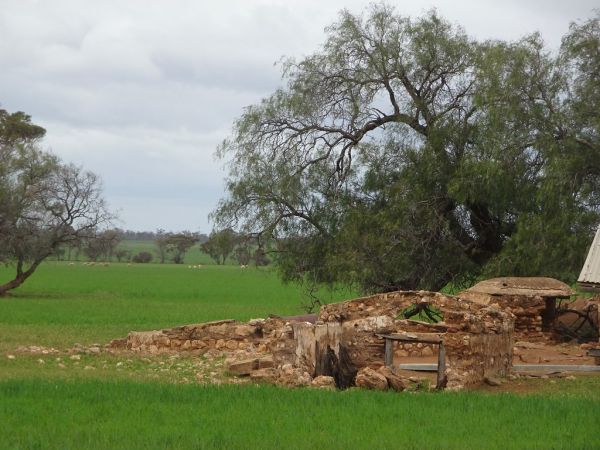 Sedan Hill photo 2