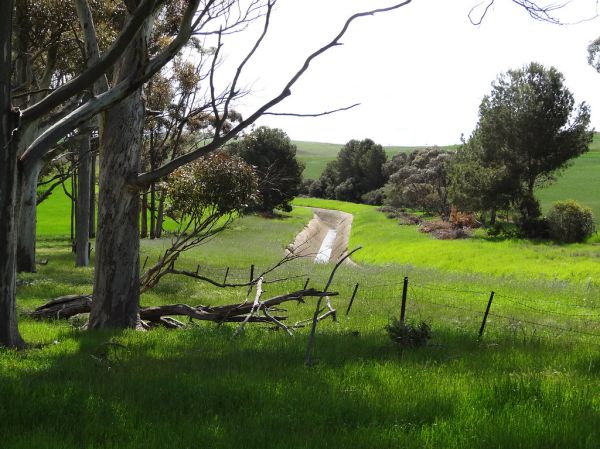 Whyalla Reservoir, South Australia