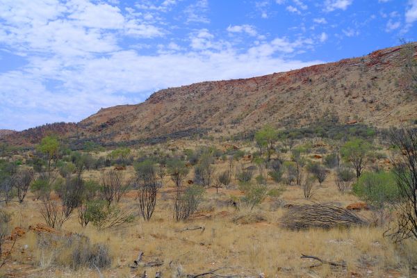 Sandover River - River in Northern Territory