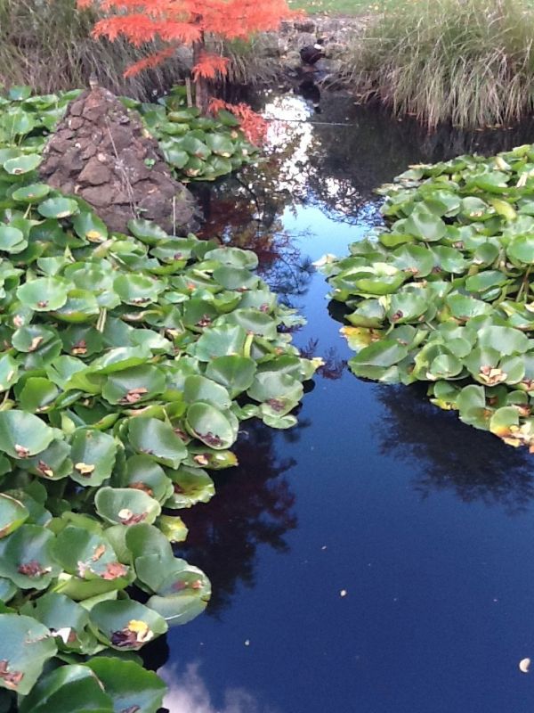 Portland River photo 2