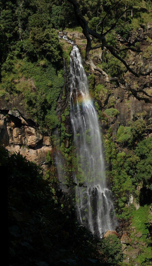 Moran River, Western Australia