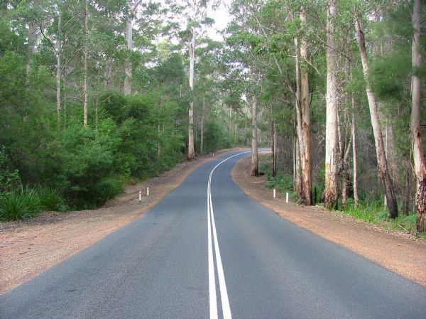 Vasse River photo 2