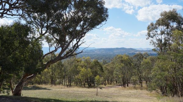 Mount Taylor photo 4