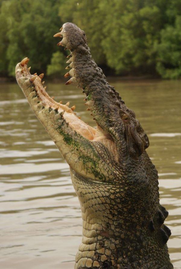 Darwin, Northern Territory