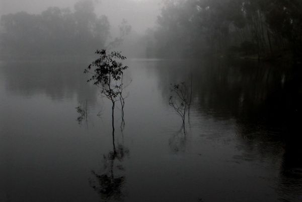 Wood River photo 4