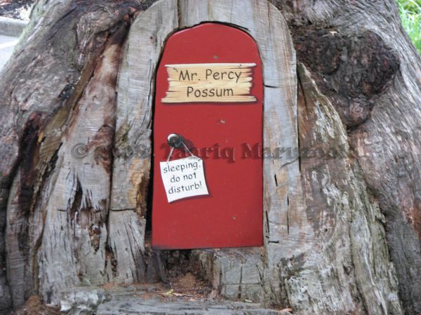 Mount Percy photo 4