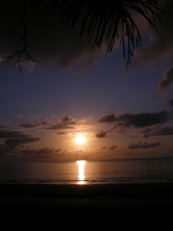Wonga Bay photo 4