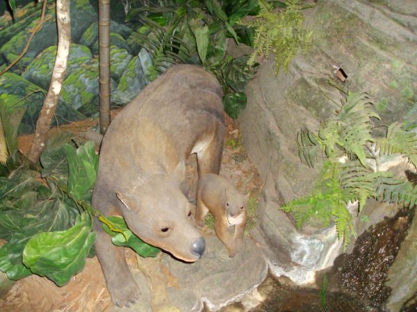 Mount Possum photo 2