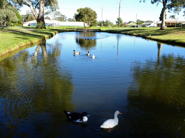 Fergusson River, Northern Territory