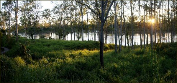 Towns River photo 4