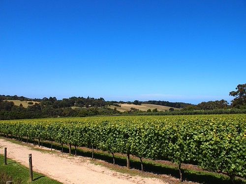 Red Hill photo 2