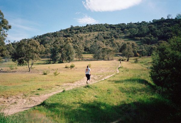 Mount Pearce photo 3