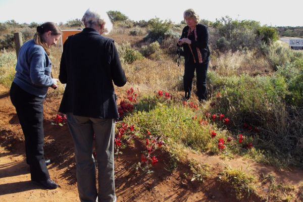 Whyalla photo 4