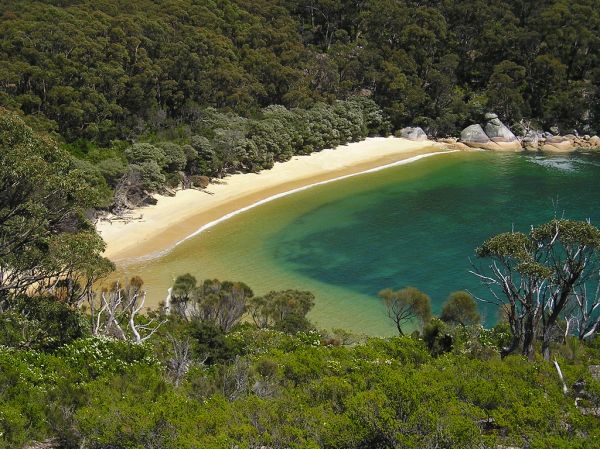 Waterloo Bay photo 2