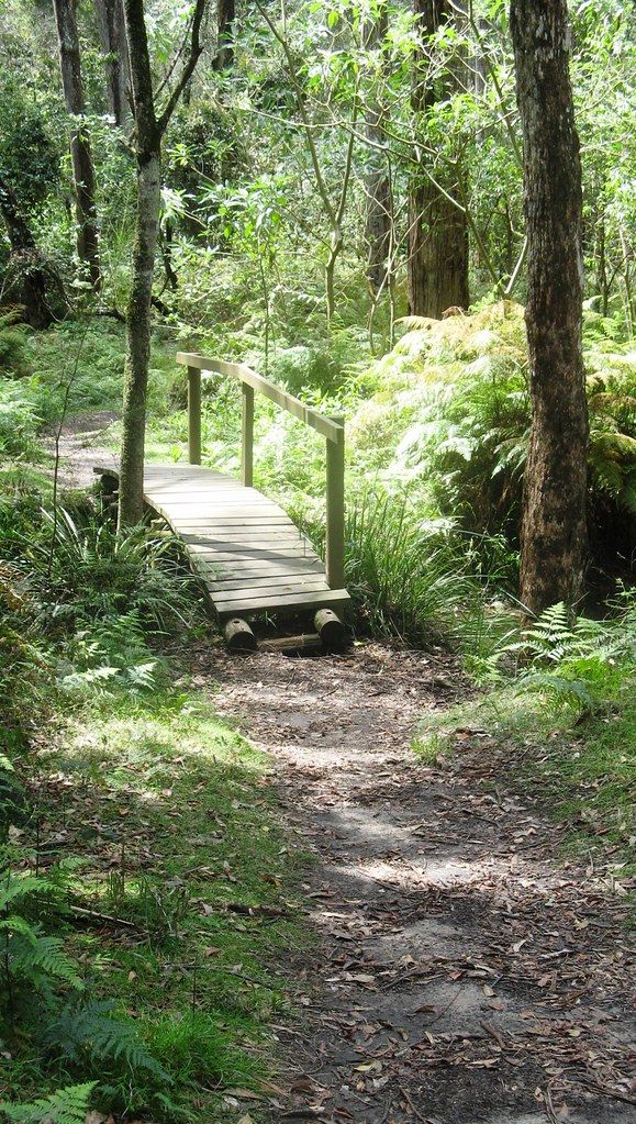 Plenty River photo 3