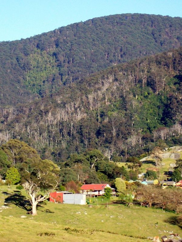 Mount Wall photo 4