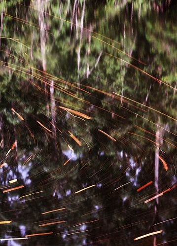 Weld River photo 2