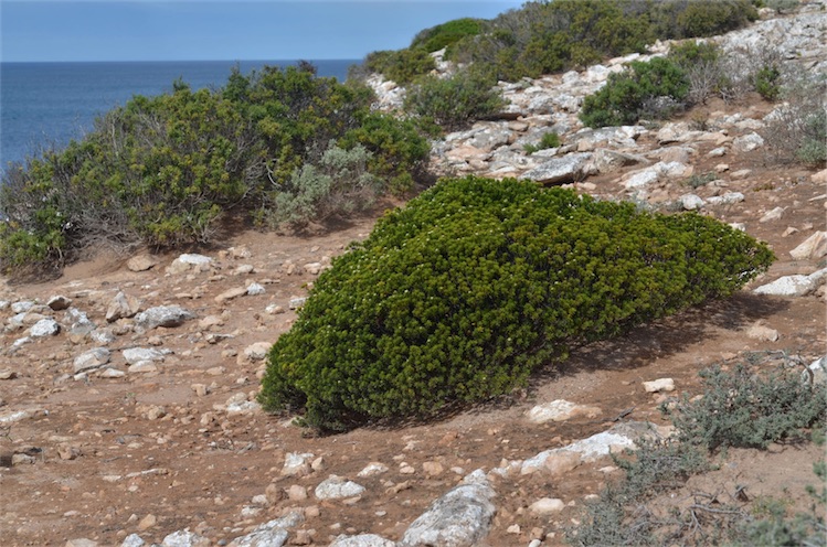 Sceale Bay photo 2