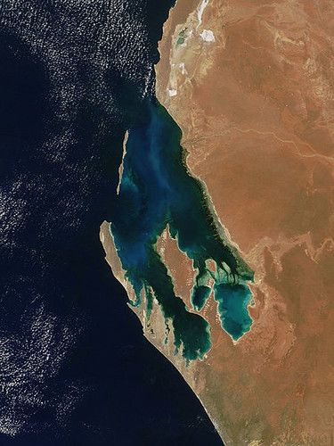 Shark Bay photo 2