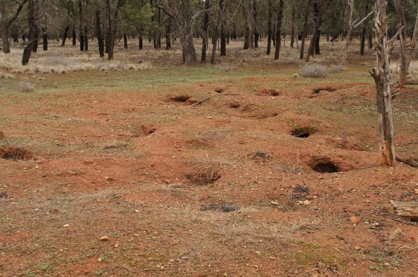 Mount Warren, Northern Territory