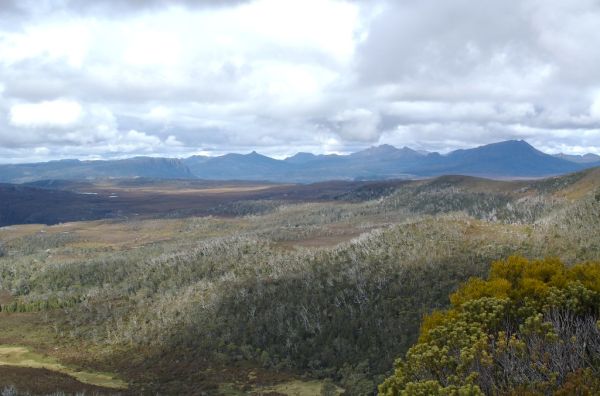 Mount Mcrae, Western Australia