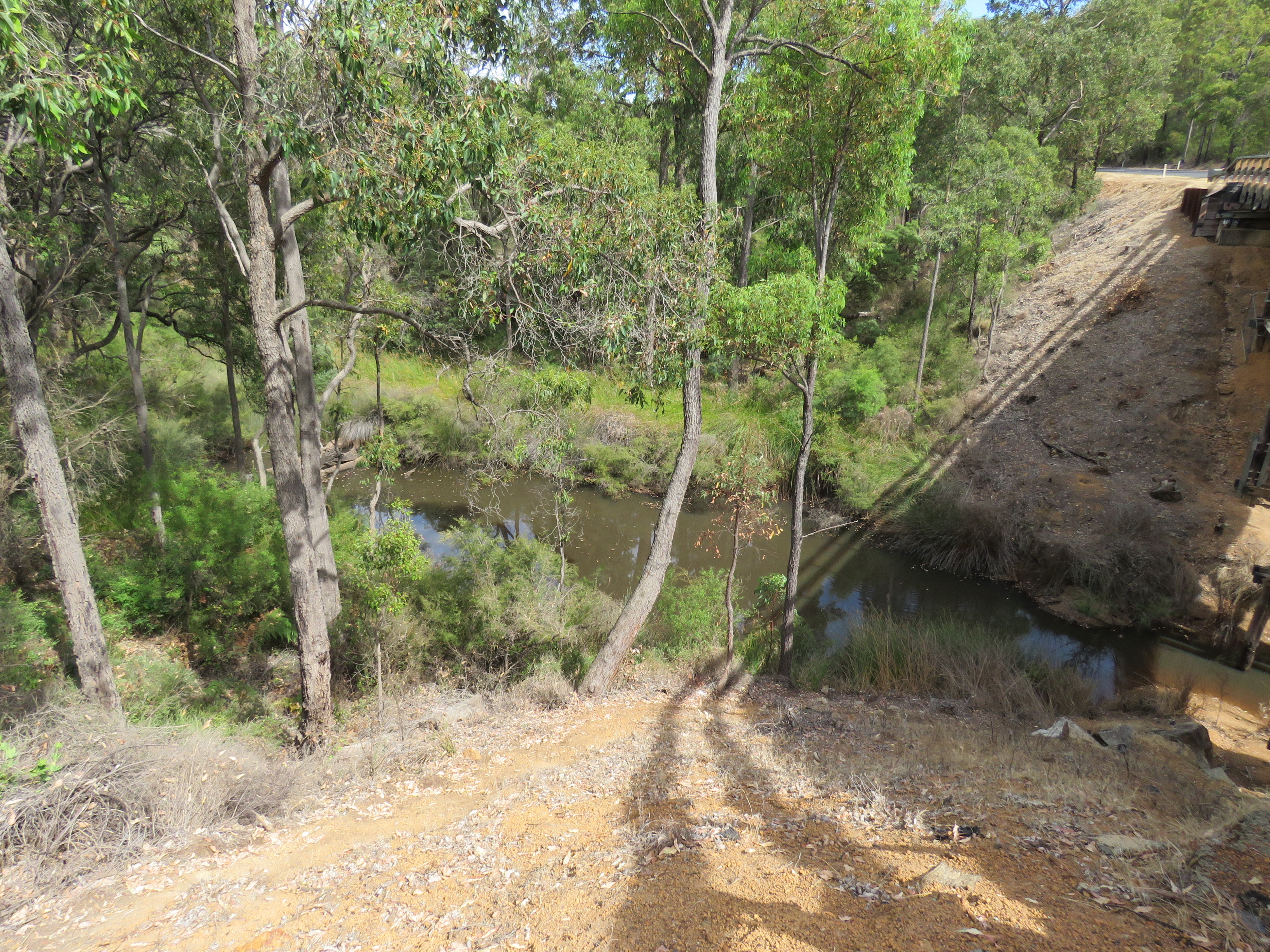 South Dandalup River photo 2
