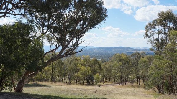 Mount Taylor, Western Australia