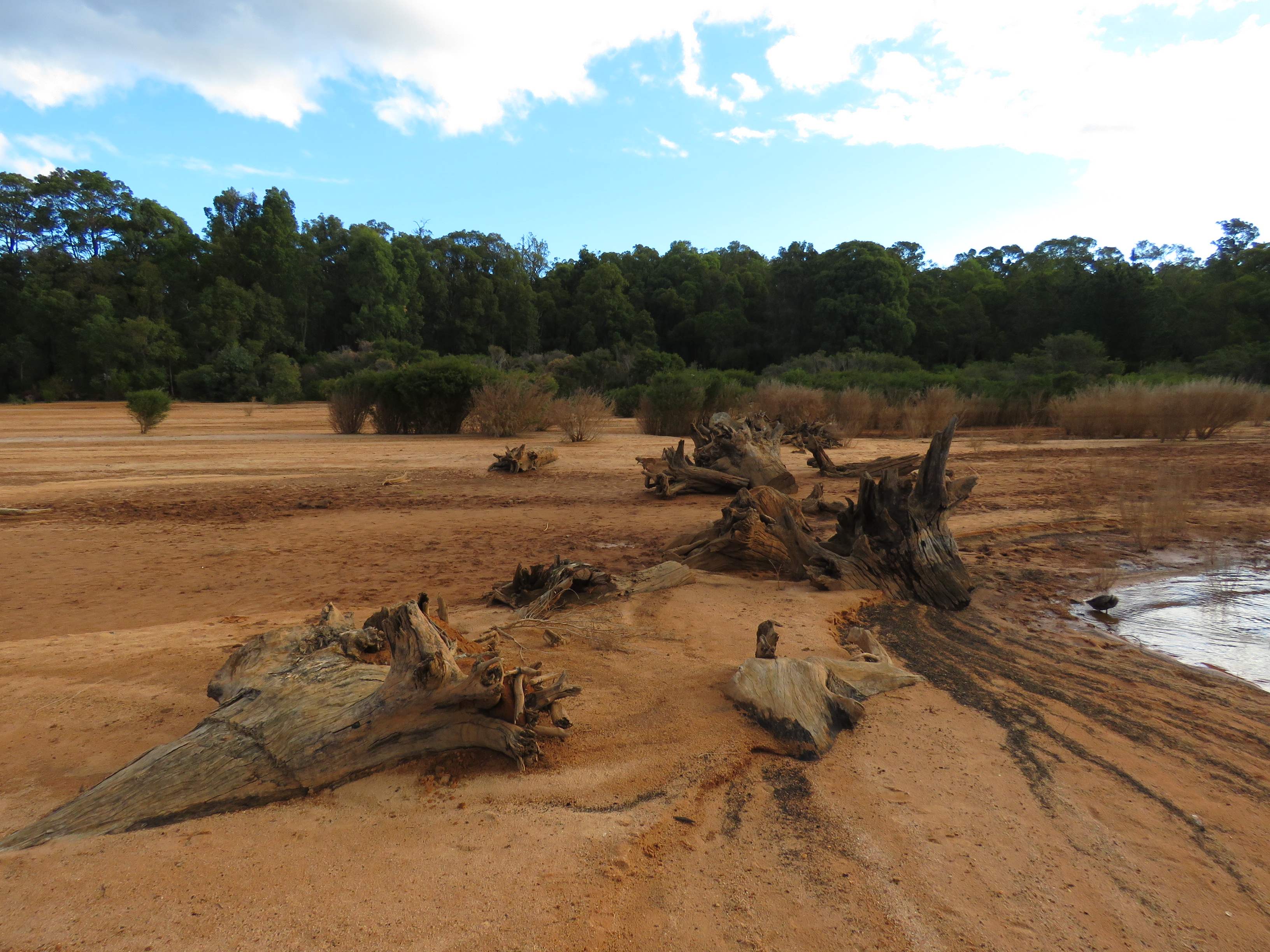 Wellington Reservoir photo 4