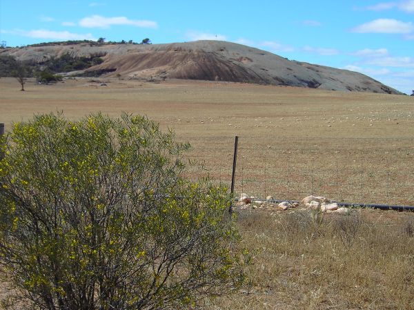 Mount Wudinna photo 4