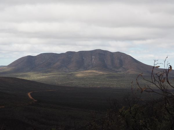 Yungermere photo 2
