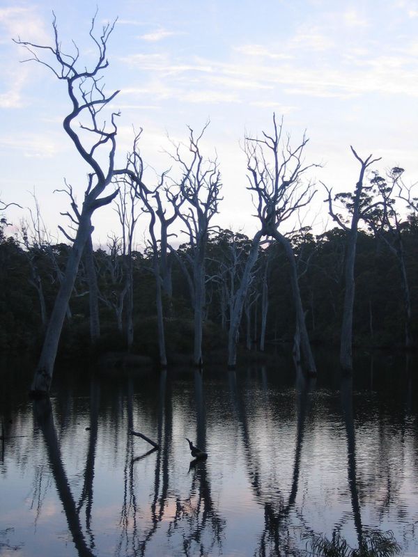 Margaret River, Northern Territory