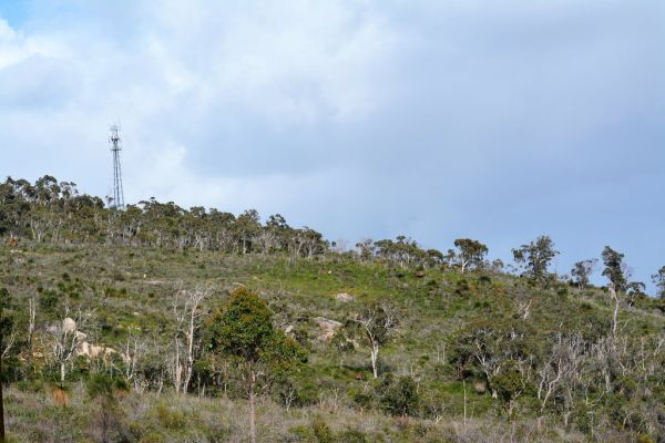 Mount Septimus, Western Australia