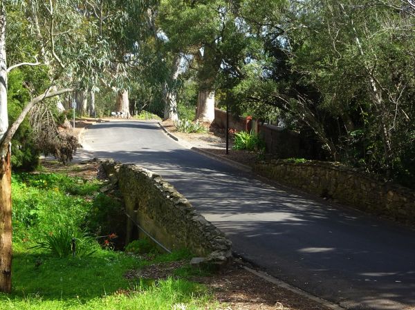 Mount Soward photo 4