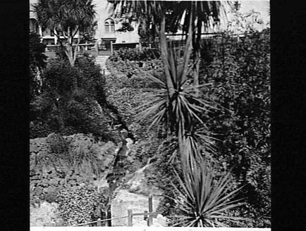 Mount Walton photo 3
