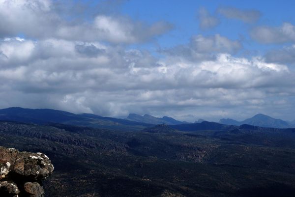 Reid Lookout photo 4