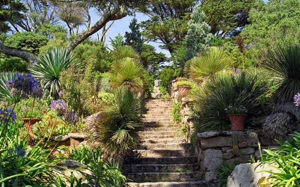 West Terrace, Western Australia