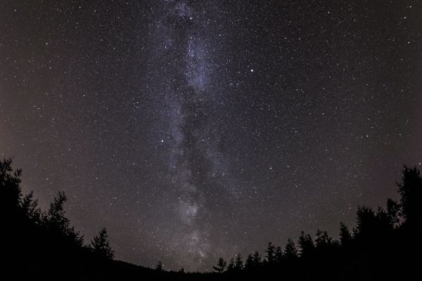 Tenneville photo 4