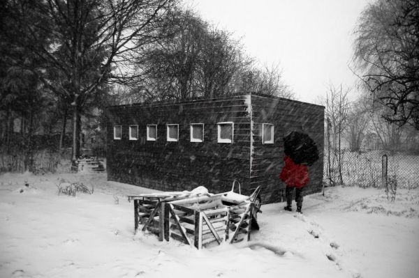 Scheldewindeke photo 2