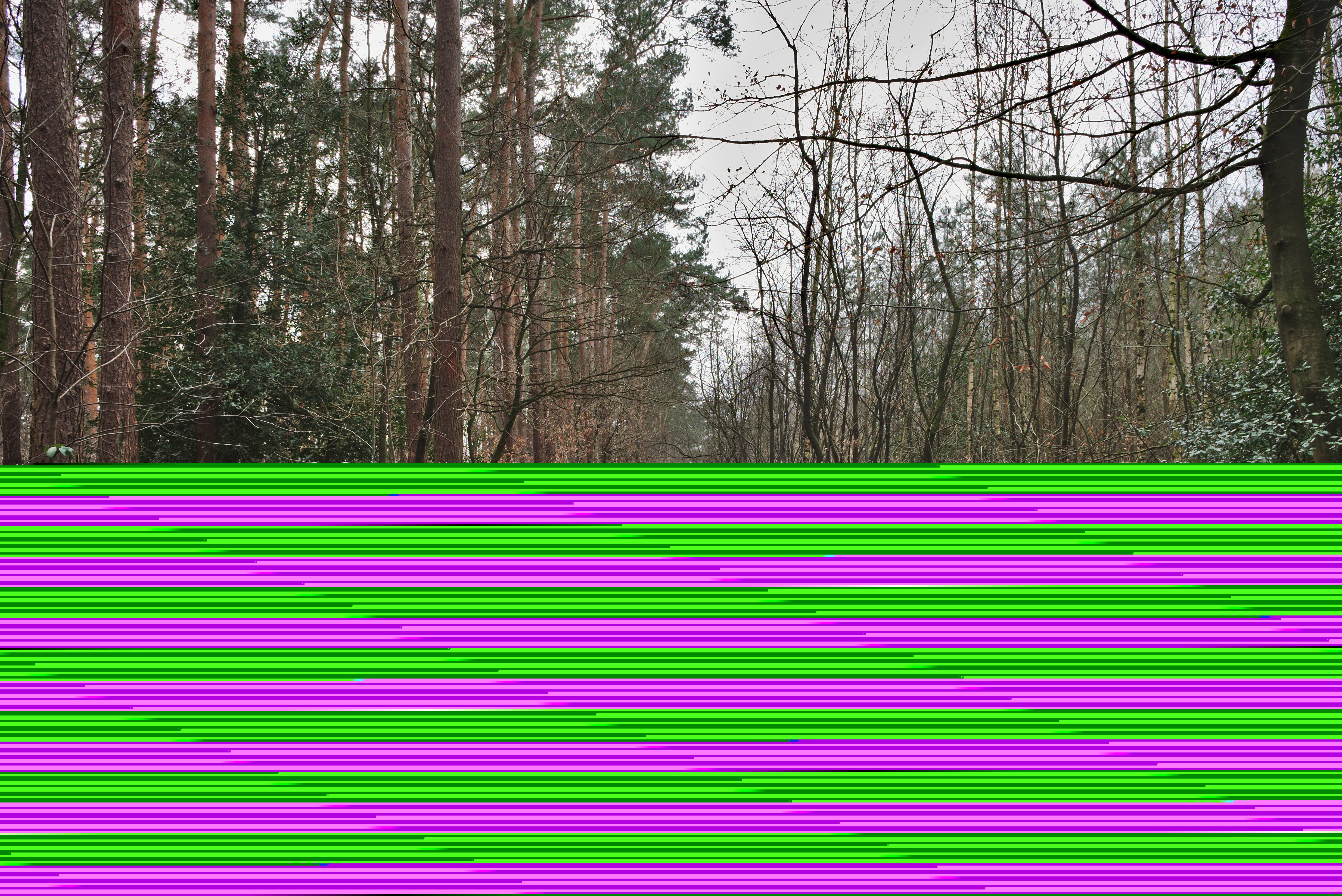 Zutendaal photo 2