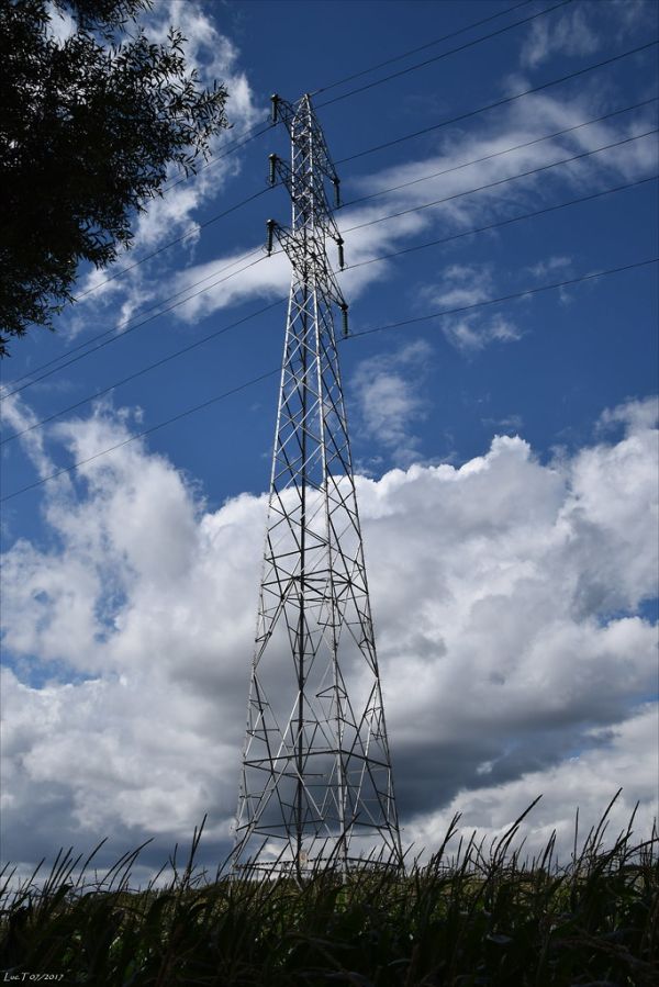 Zele photo 4