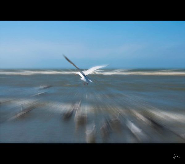 Oostduinkerke photo 2