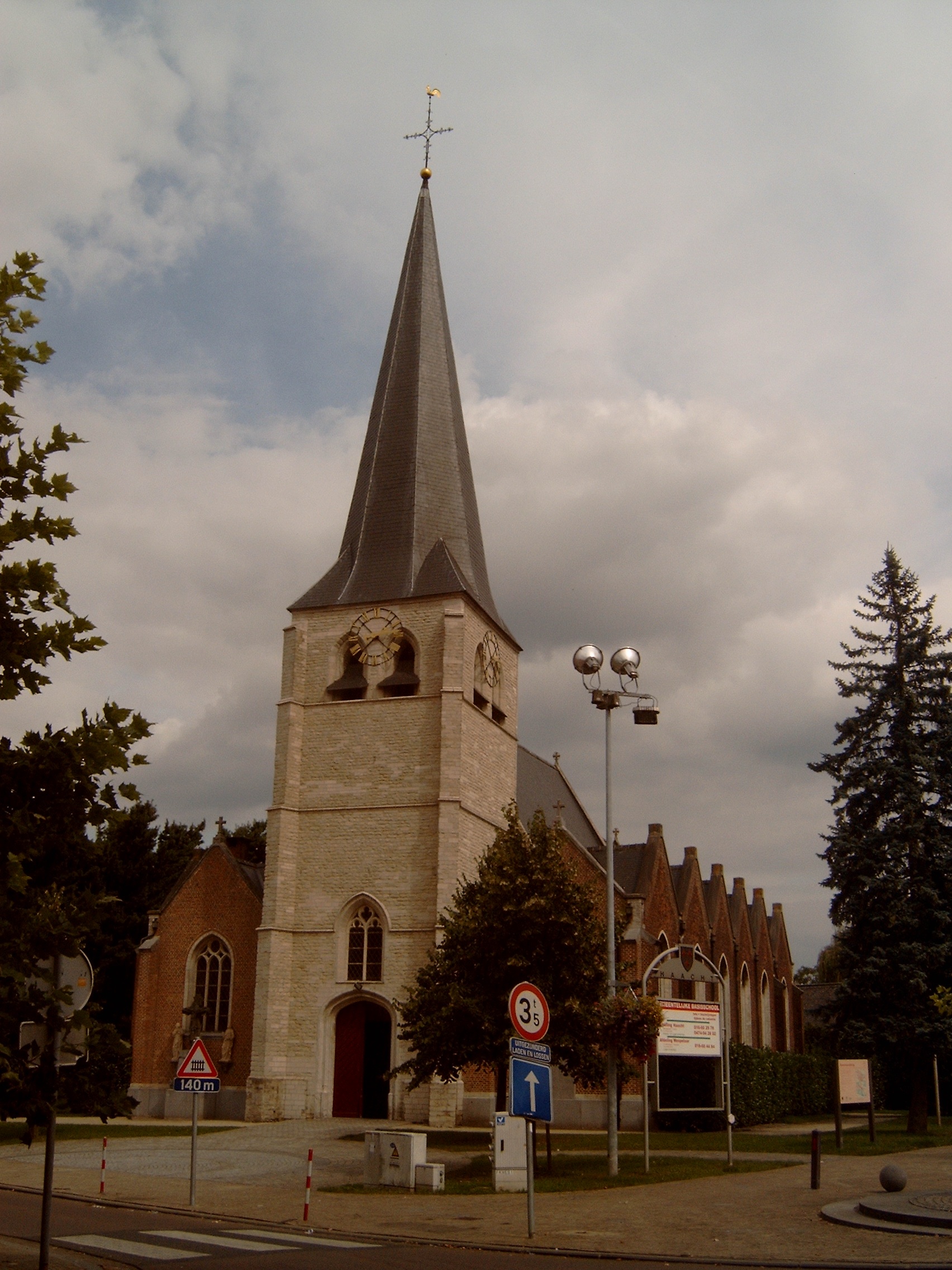 Wespelaar photo 3