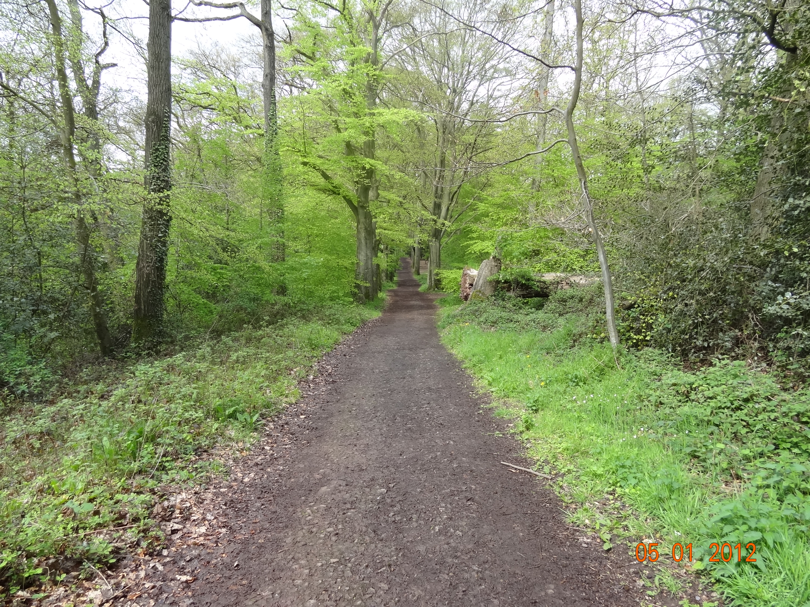 Thuin photo 2