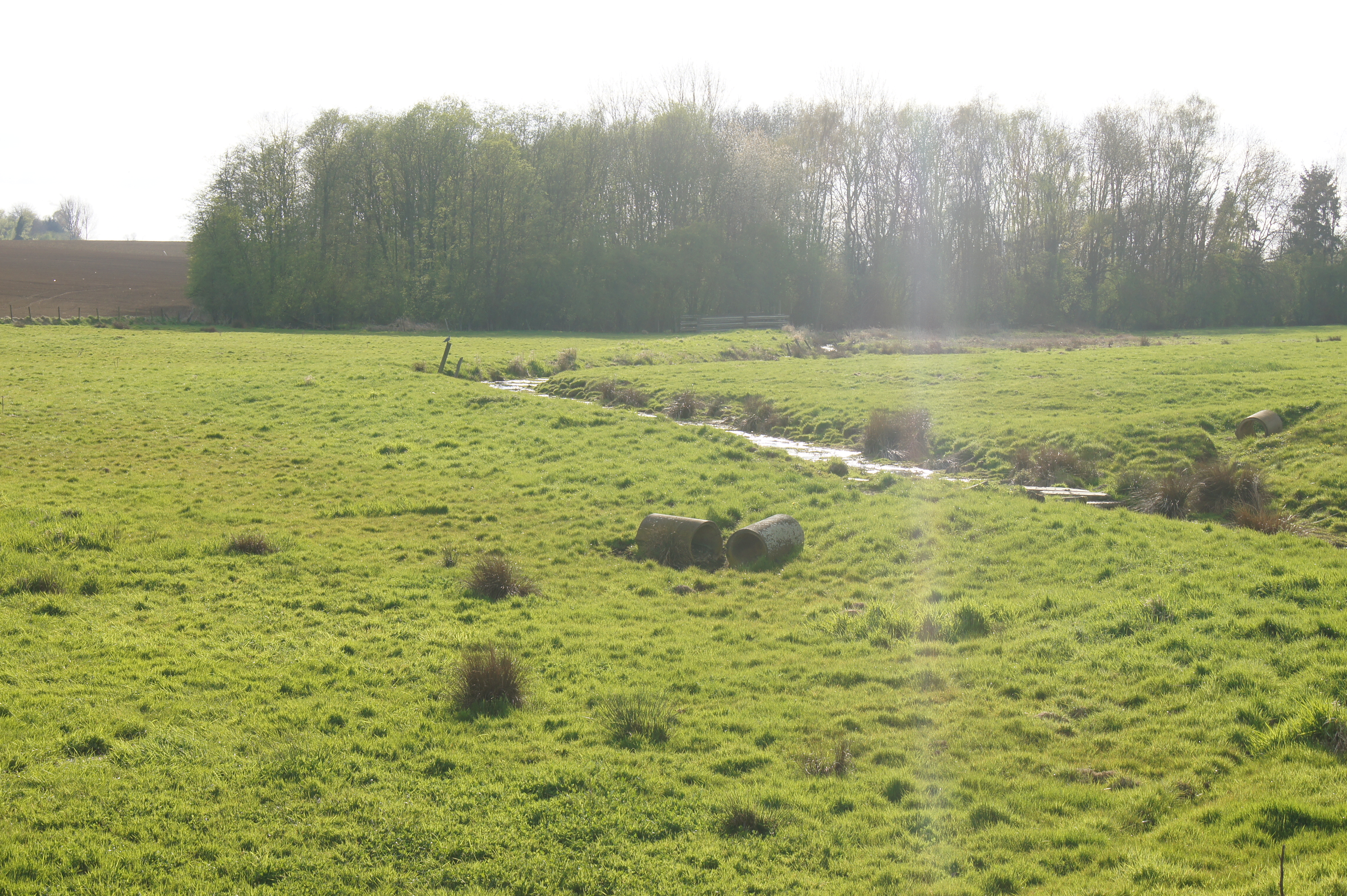 Sart-Dames-Avelines photo 4