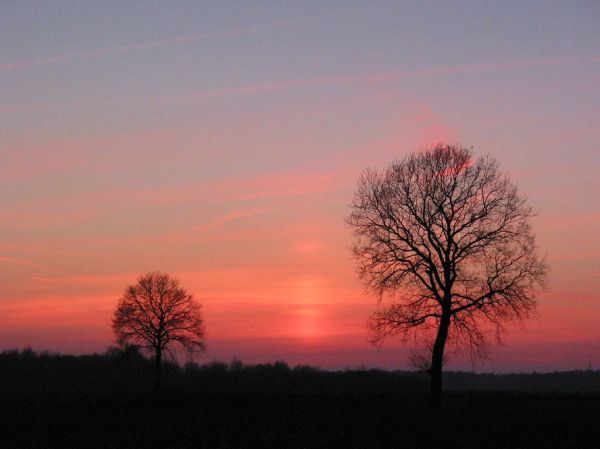 Weelde photo 2