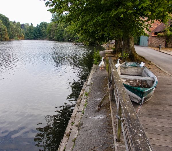 Sint-Genesius-Rode photo 2