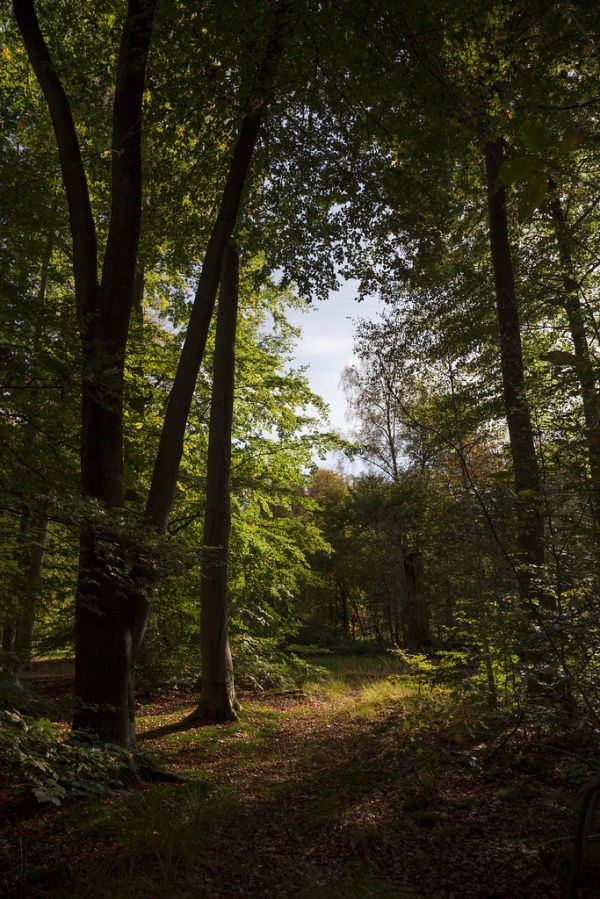 Oostmalle photo 3