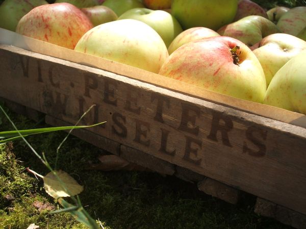 Wilsele photo 3